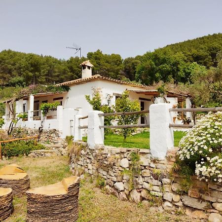 Villa Huerta Nacimiento Montecorto Exterior photo